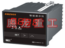 溫度表、數(shù)字顯示儀、濕度表